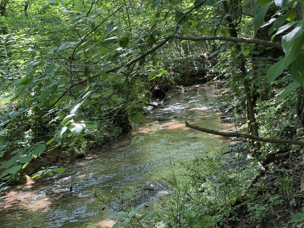 Picture 22