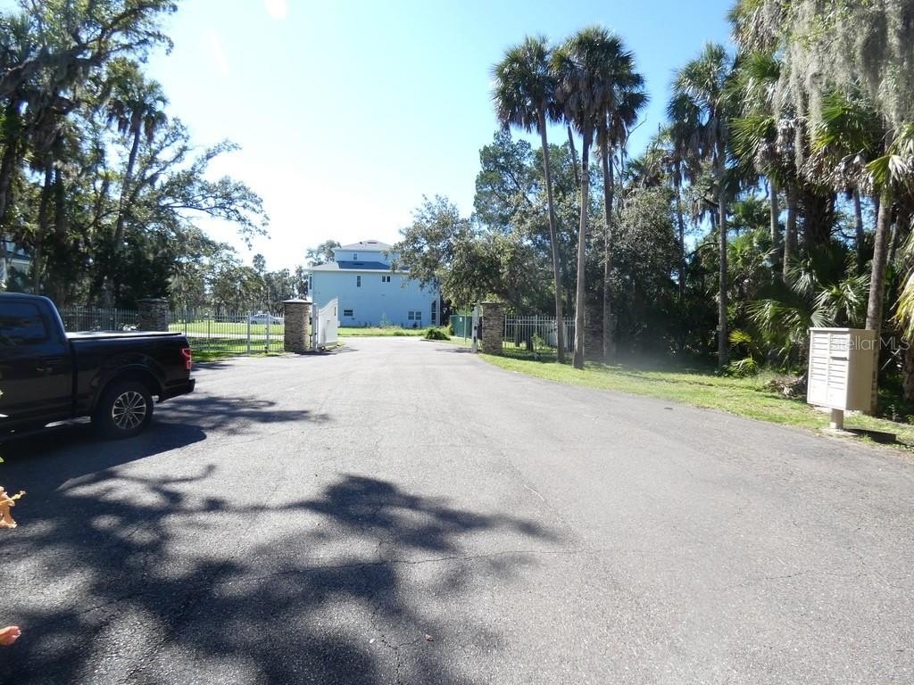 Picture 20