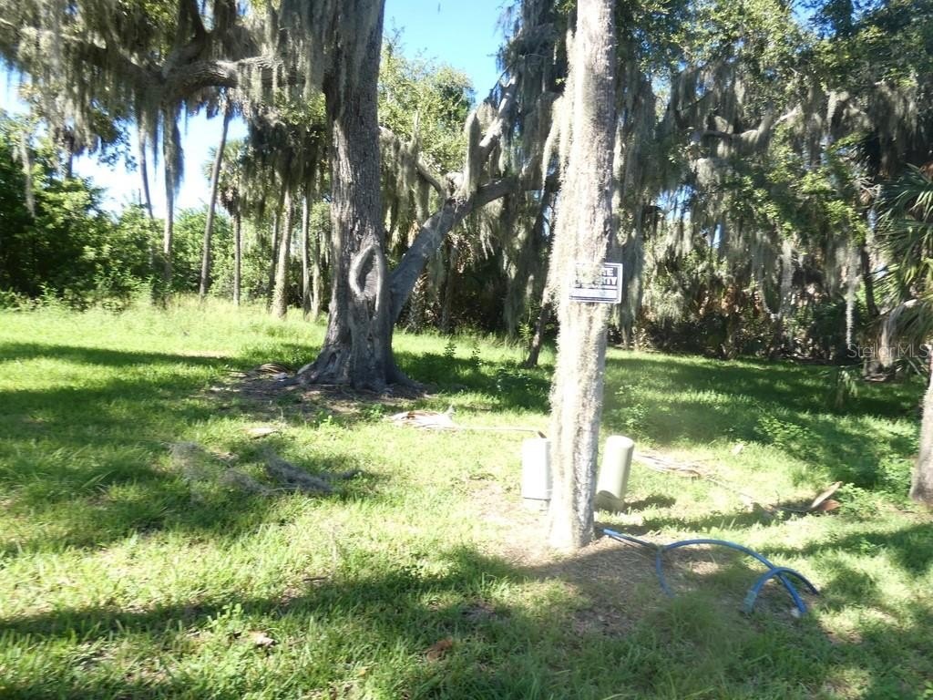 Picture 15