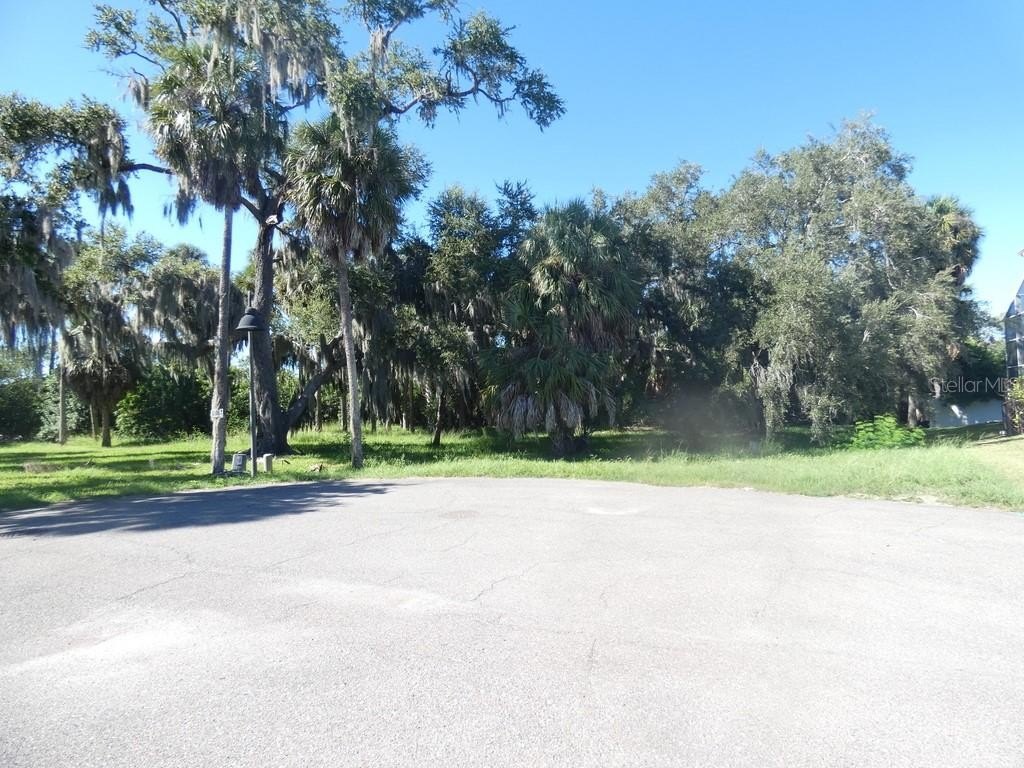 Picture 7