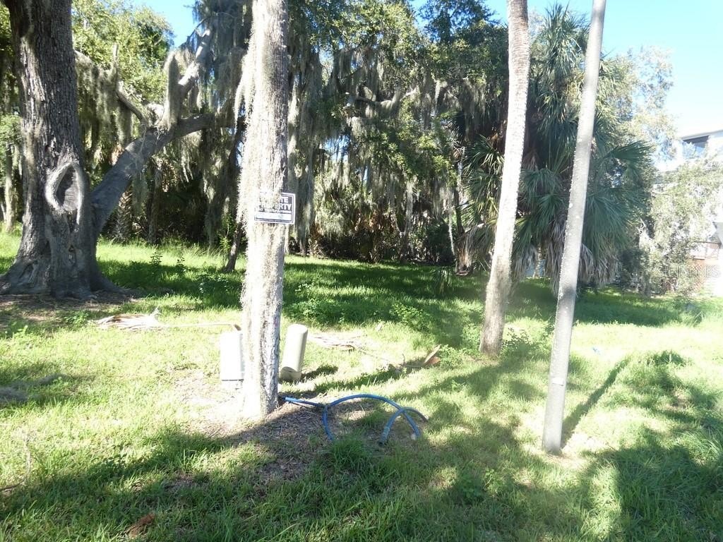 Picture 16