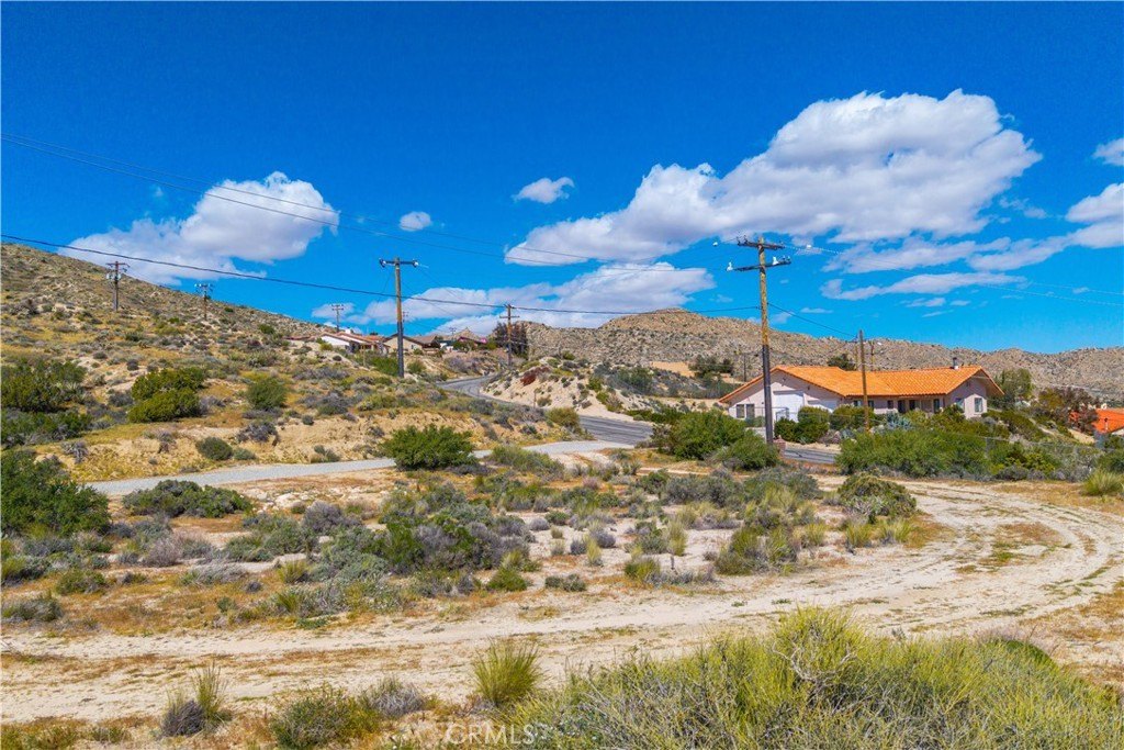Picture 29