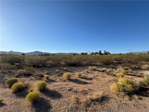 Kingman, AZ Commercial Lot