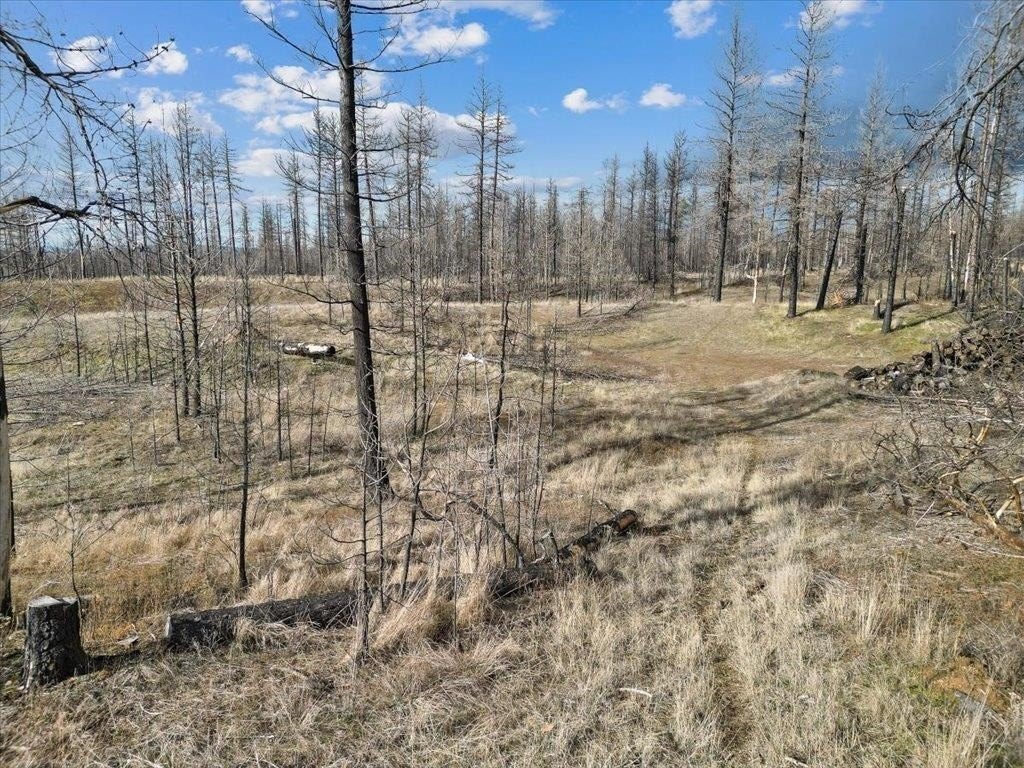 Picture 8