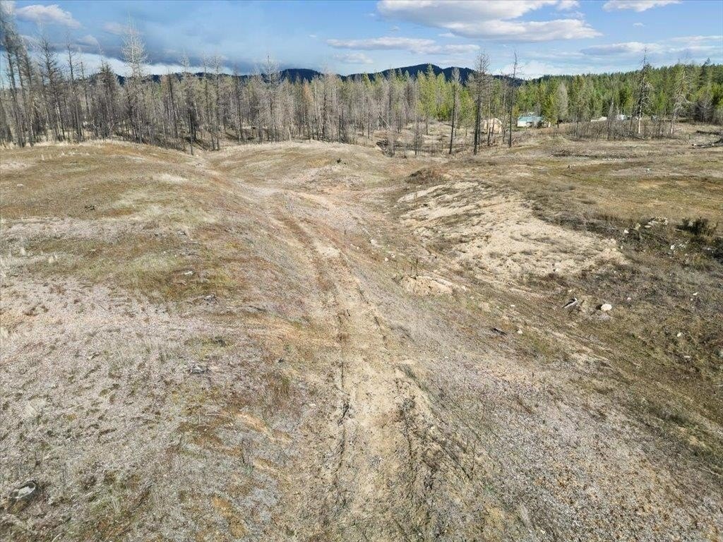 Picture 12