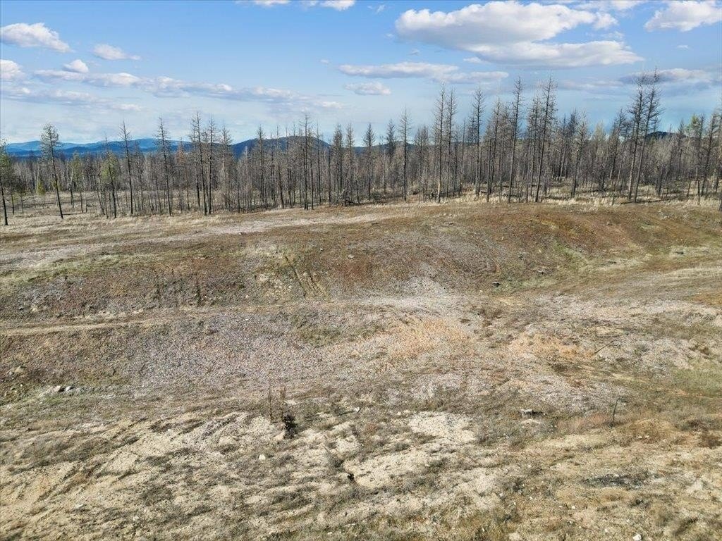 Picture 11