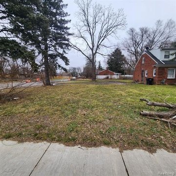 Detroit Land Opportunity