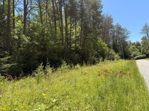 Land, Nancy, KY