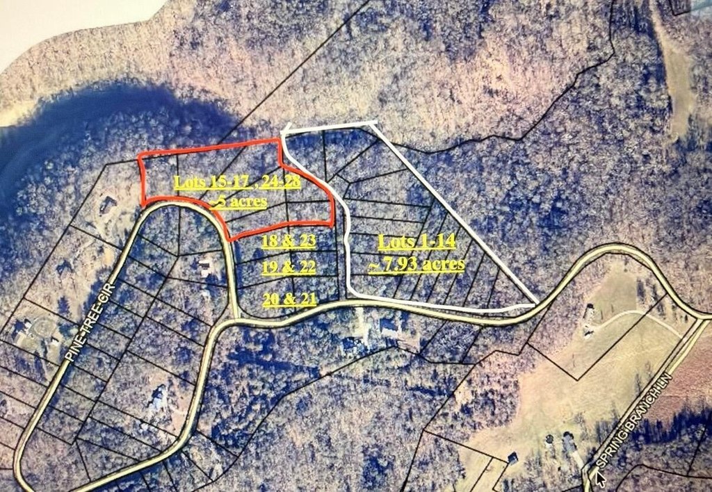 Picture 3