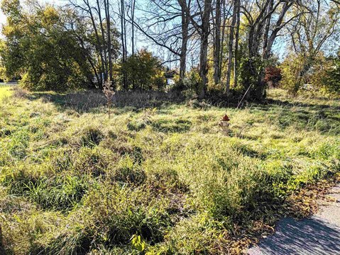 LAND, Ogdensburg, NY