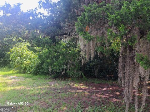 LAND - St. Marys, GA