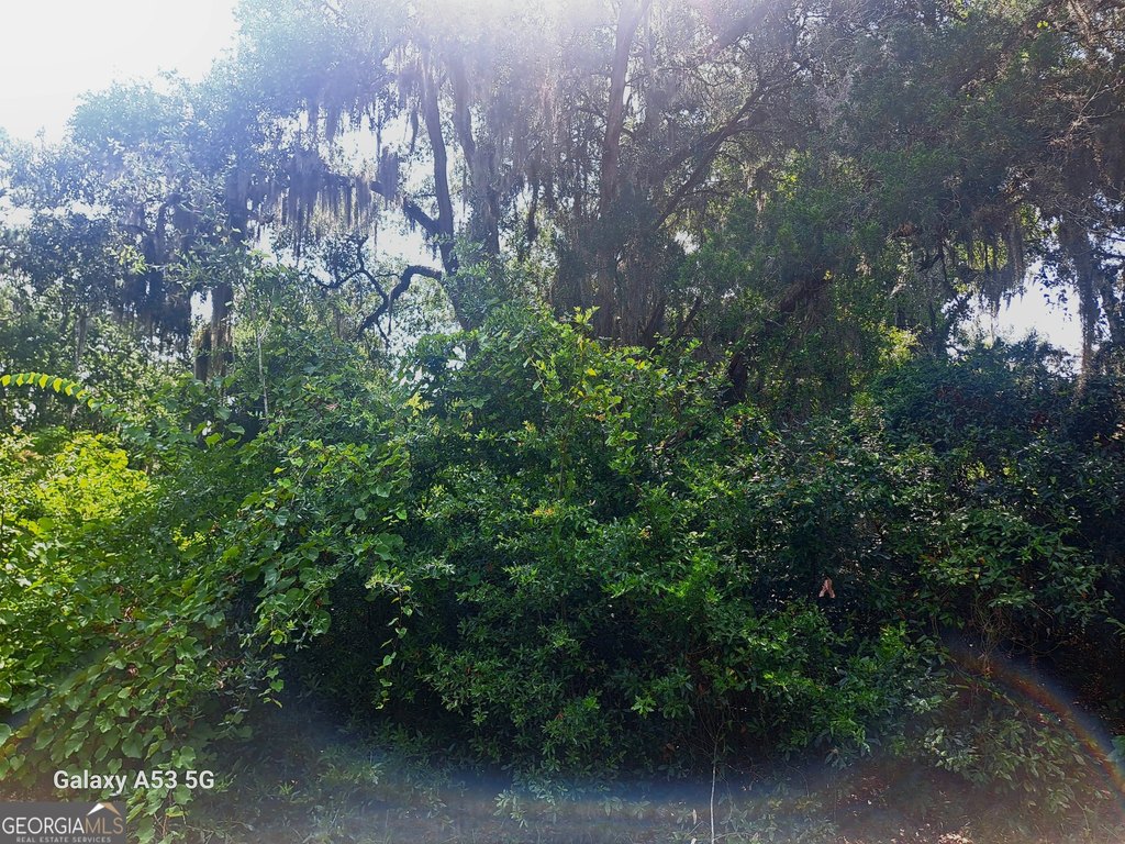 Picture 8