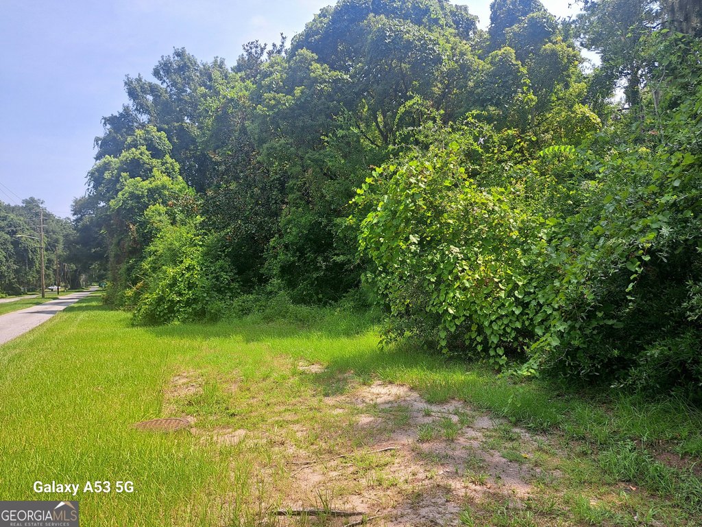 Picture 3
