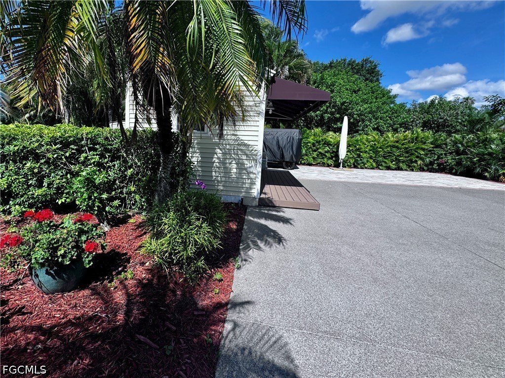 Picture 21