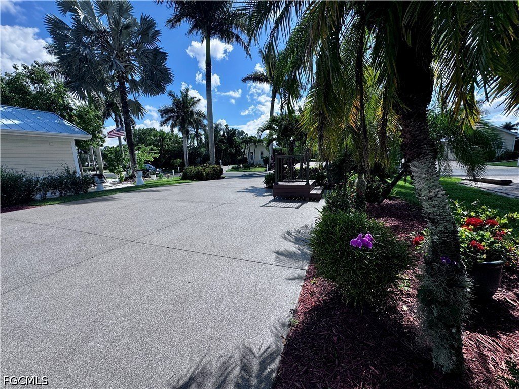 Picture 17