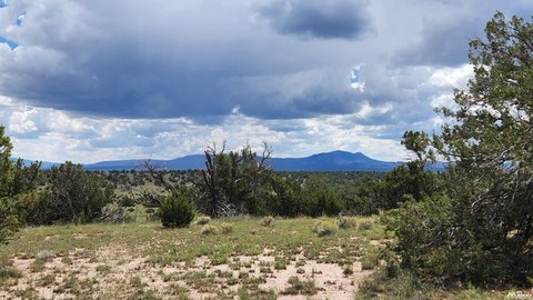 Land, Quemado, NM