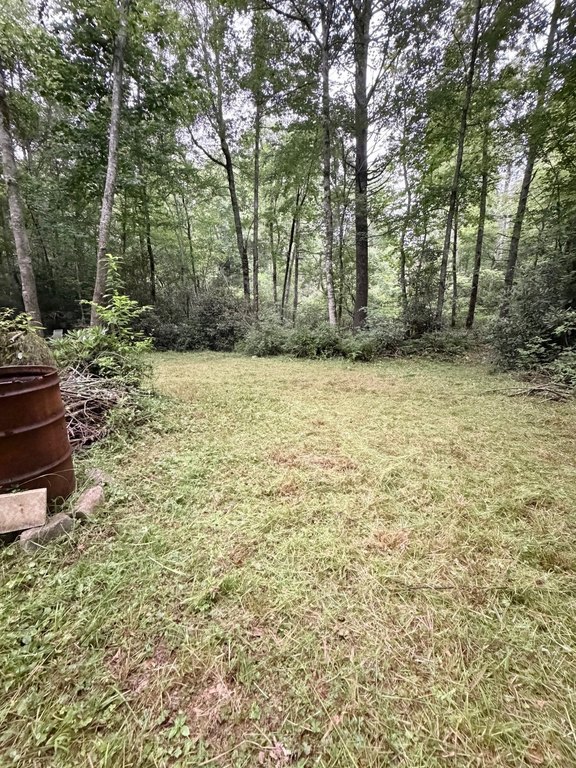 Picture 5