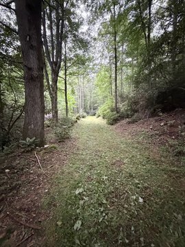 LAND - Newland, NC