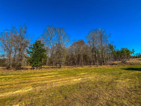 Residential Land Near Jacksonville, TX