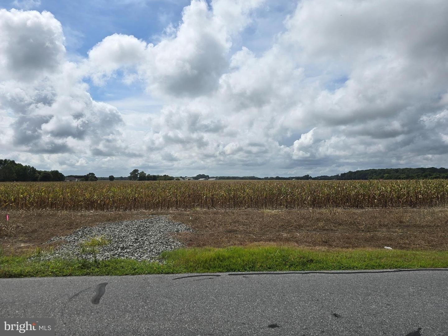 Dagsboro Land For Sale