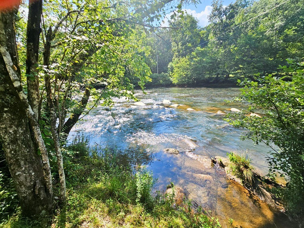 Picture 13