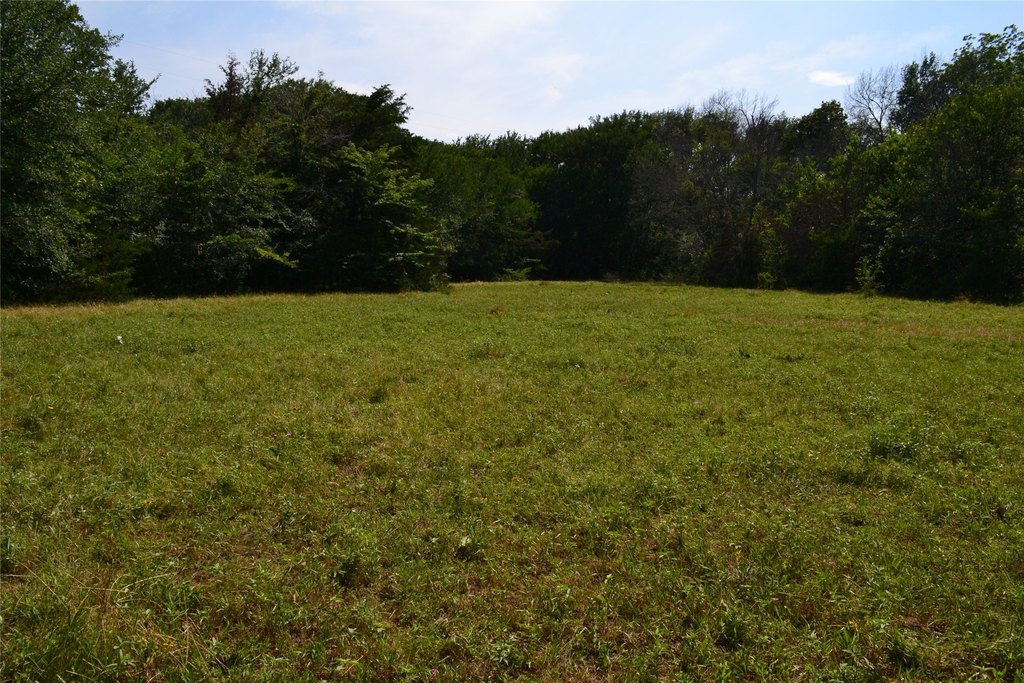 Picture 17