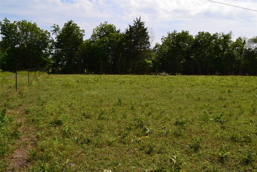 Picture 9