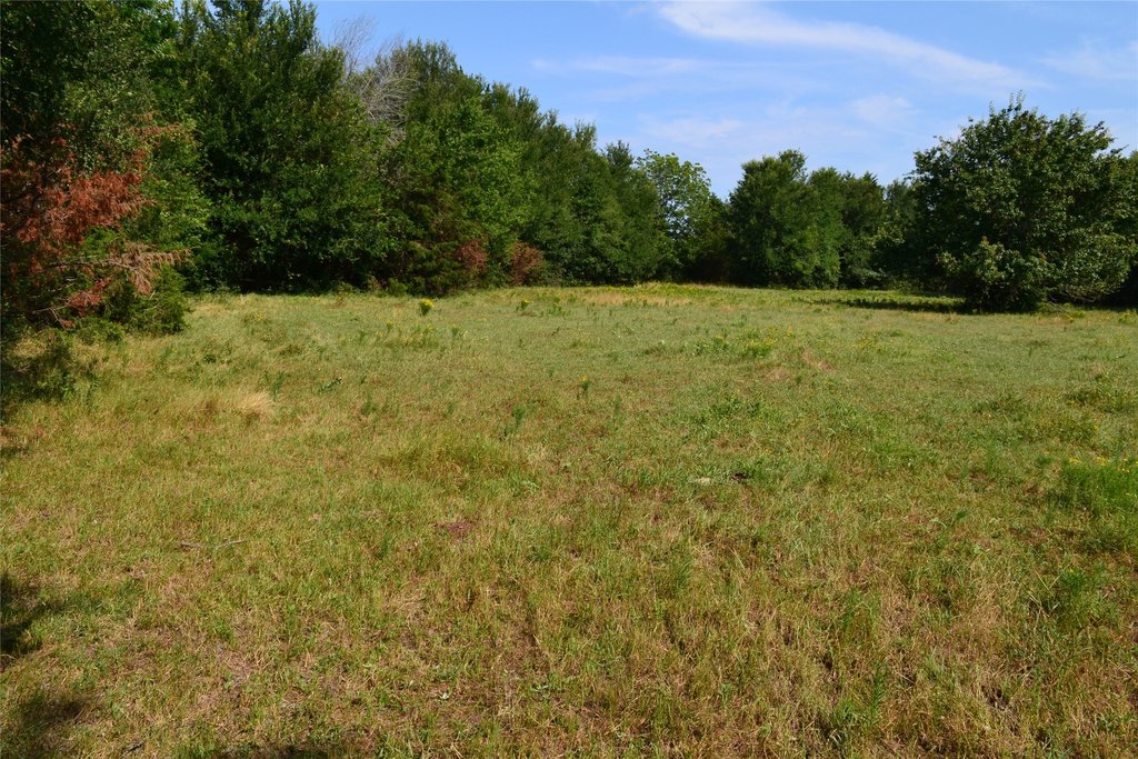 Picture 28