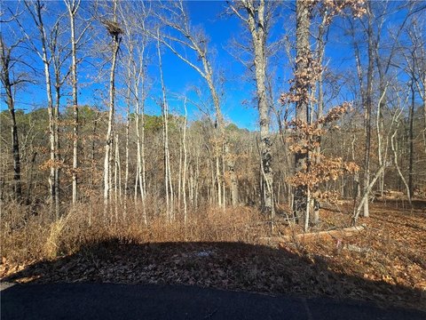 Bella Vista Lot For Sale