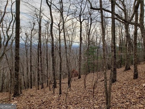 Big Canoe Mountain View Lot