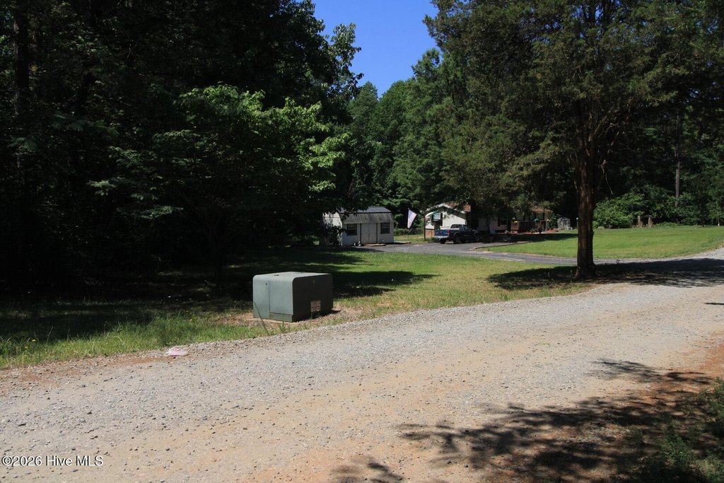 Picture 45