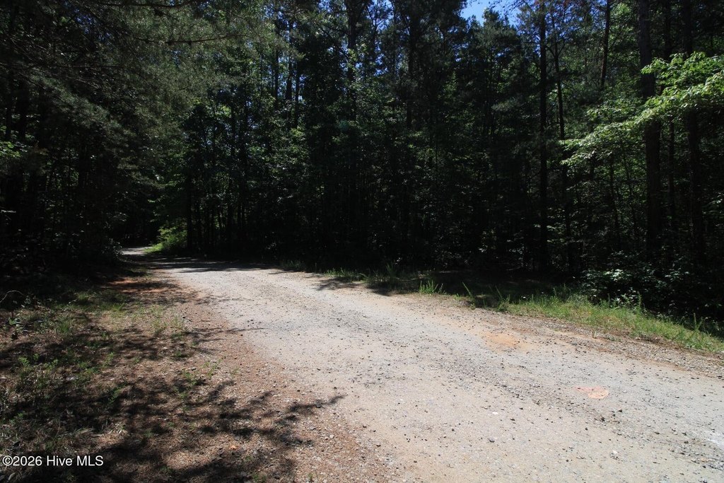 Picture 30