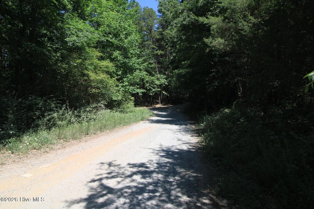 Picture 31
