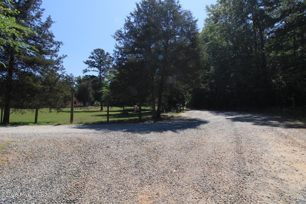 Picture 34