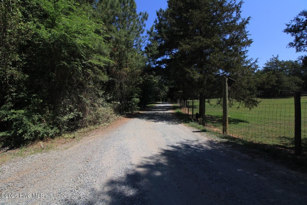 Picture 29