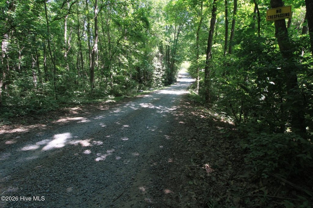 Picture 40
