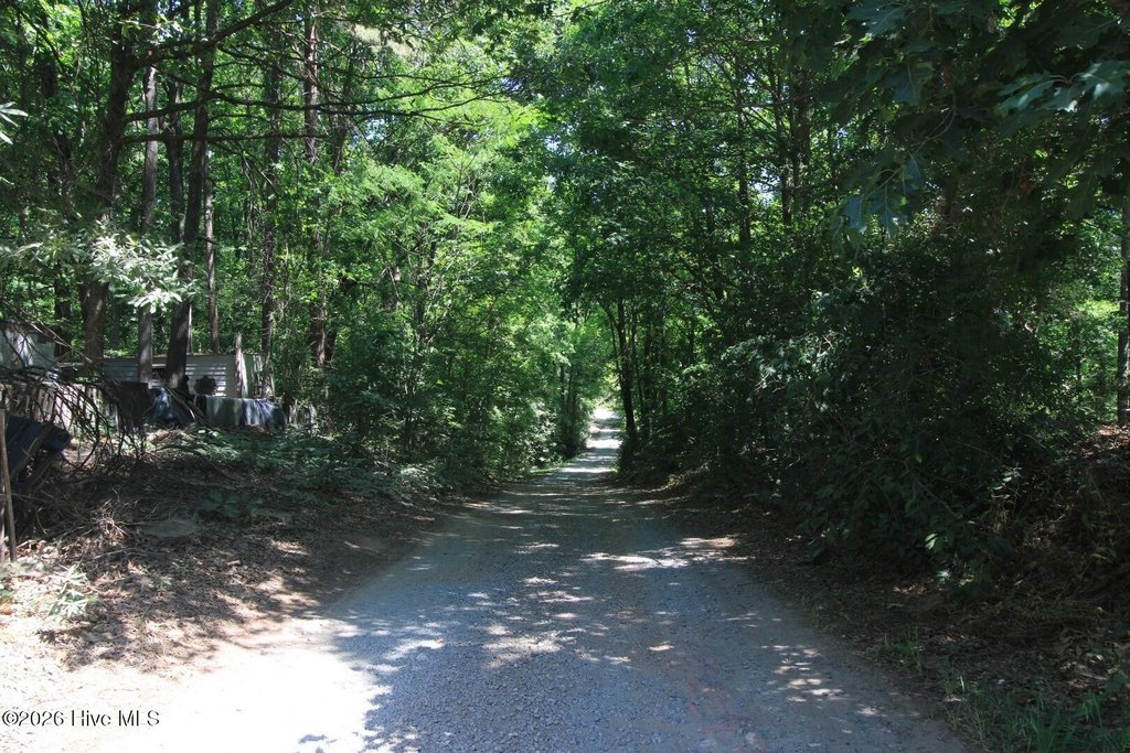 Picture 36