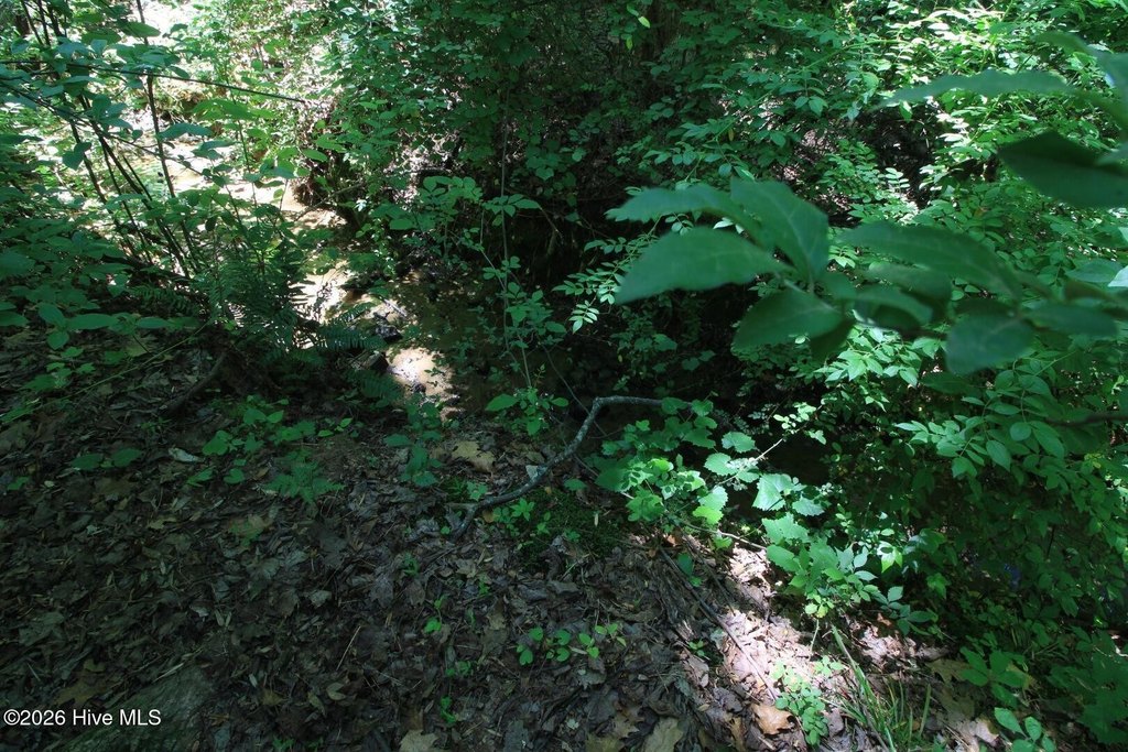 Picture 26