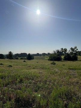 Corner Commercial Development Land