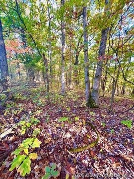LAND - Barnett, MO