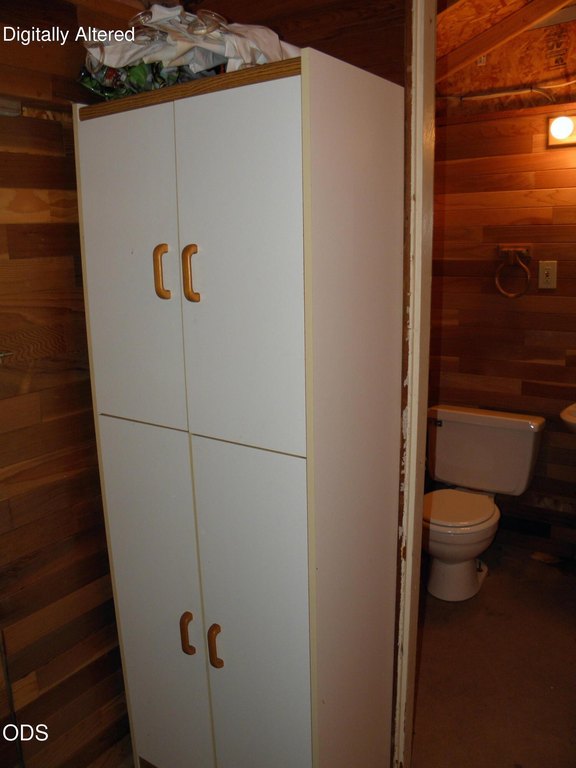 Picture 7
