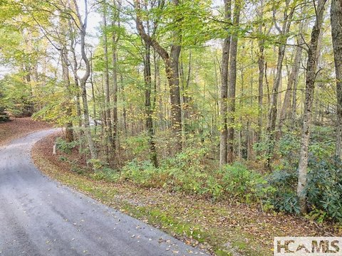 Cashiers, NC Half Acre Lot