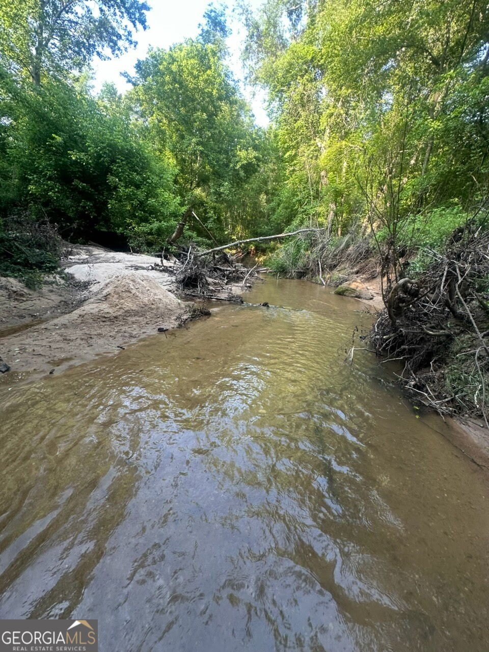 Bowman, GA Land with Creek