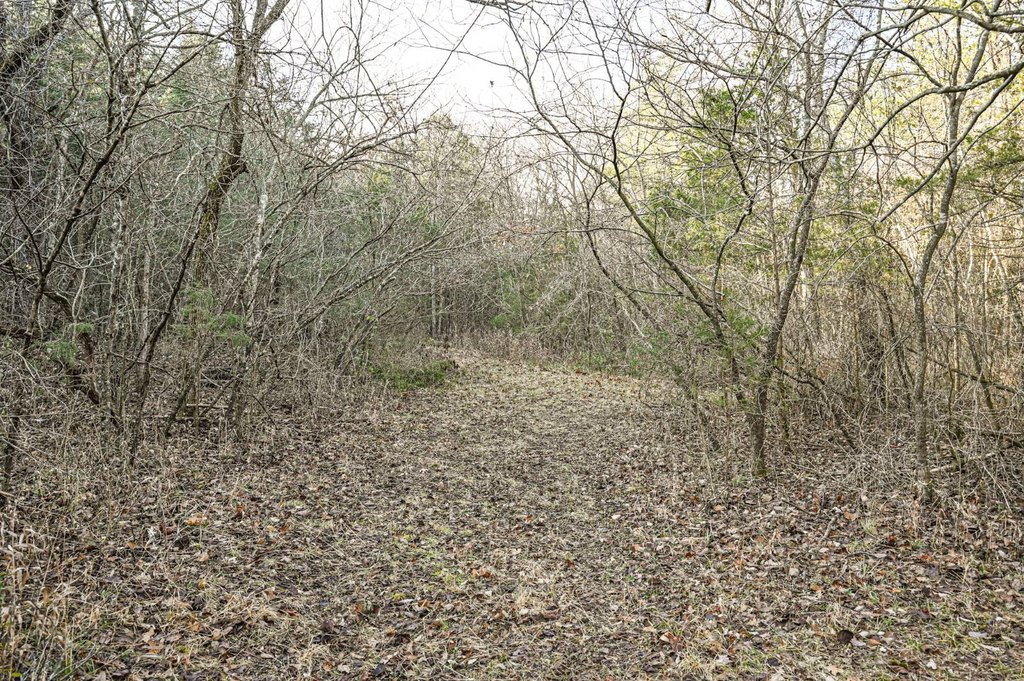 Picture 36