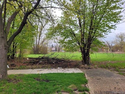 Detroit Land Bundle Opportunity