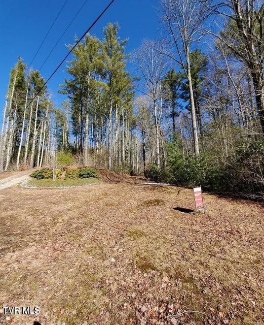 Secluded Mountain View Lot