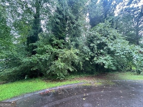 Griffin, GA Wooded Lot