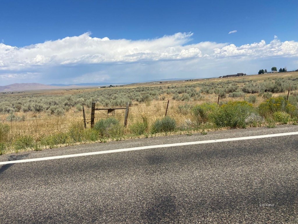 Picture 21