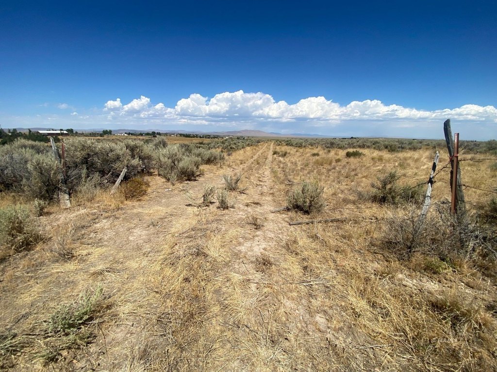 Picture 29