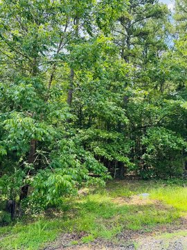 LAND - Heber Springs, AR